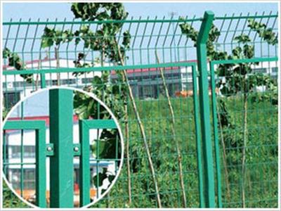 小区护栏网批发、小区护栏网生产厂家/欧齐网业(图)、小区护栏网供应图片_高清图_细节图-安平县欧齐丝网制品 -