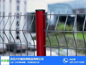 球场护栏网生产厂家 兴尔顺丝网制品公司 四川球场护栏网高清图片 高清大图